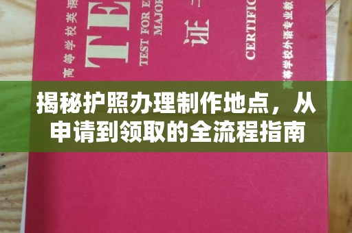 蒲城揭秘护照办理制作地点，从申请到领取的全流程指南
